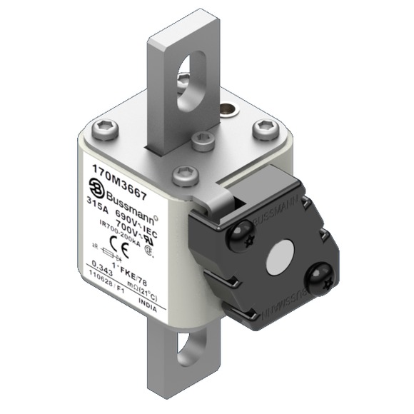 170M3667 Быстрый предохранитель 315A 690V 1*FKE/78 AR UC