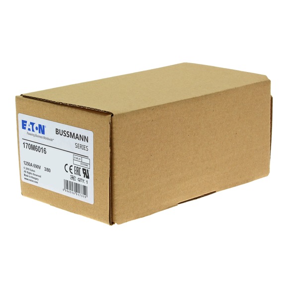 170M6016 Быстрый предохранитель 1250A 690V 3/80 AR UC