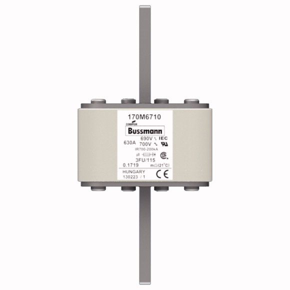 170M6710 Быстрый предохранитель 630A 690V 3FU/115 AR UC