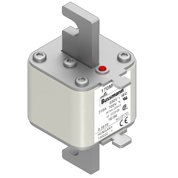 170M4310 Быстрый предохранитель 315A 690V 1E/86 AR UC