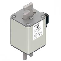 170E8076 Быстрый предохранитель 250A 1000V 2KN/110 AR