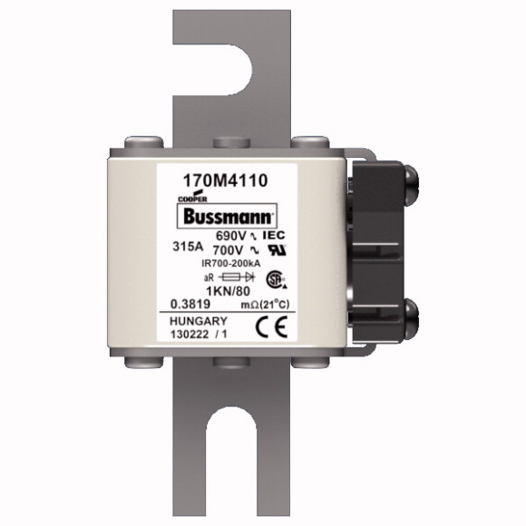 170M4110 Быстрый предохранитель 315A 690V 1KN/80 AR UC