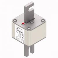 170M5165 Быстрый предохранитель 900A 690V 2/110 AR UC