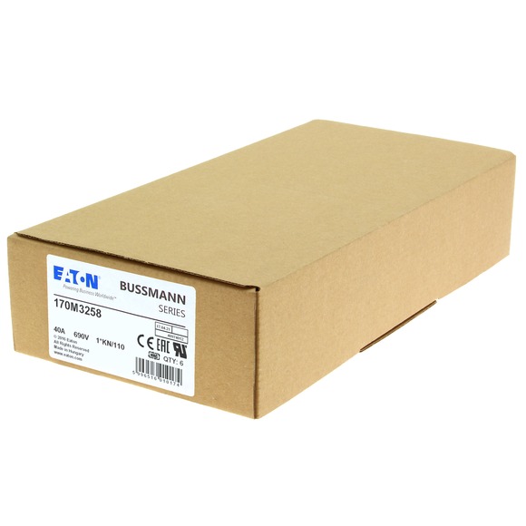 170M3258 Быстрый предохранитель 40A 690V 1*KN/110 AR UC