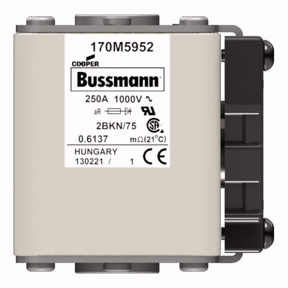 170M5952 Быстрый предохранитель 250A 1000V 2BKN/75 AR UR