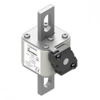 170M4660 Быстрый предохранитель 315A 690V 1FKE/90 AR UC