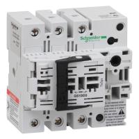 Schneider Electric GS1DD3 ВЫКЛЮЧАТЕЛЬ-РАЗЪЕДИНИТЕЛЬ-ПРЕДОХРАНИТЕЛЬ 3X32A 10X38