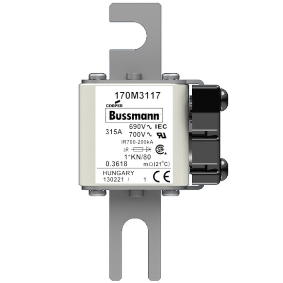 170M3032 Быстрый предохранитель 315A 690V 1*KN/80 AR