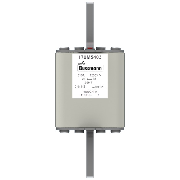 170M5403 Быстрый предохранитель 315A 1250V 2SHT AR