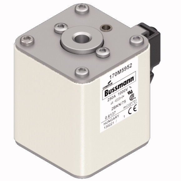 170M5952 Быстрый предохранитель 250A 1000V 2BKN/75 AR UR
