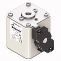 170M5952 Быстрый предохранитель 250A 1000V 2BKN/75 AR UR