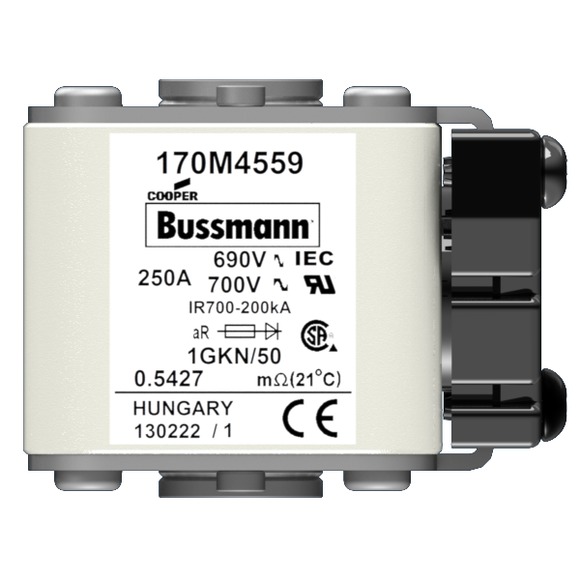 170M4559 Быстрый предохранитель 250A 690V 1GKN/50 AR UC
