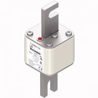 170M4159 Быстрый предохранитель 250A 690V 1/110 AR UC