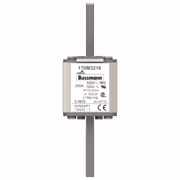 170M3216 Быстрый предохранитель 250A 690V 1*TN/110 AR UC