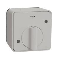 Schneider Electric MUR39067 MUREVA S ВЫКЛЮЧАТЕЛЬ с таймером В СБОРЕ О/У, БЕЛЫЙ, IP55