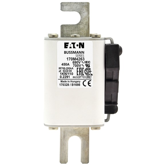 170M4263 Быстрый предохранитель 450A 690V 1KN/110 AR UC