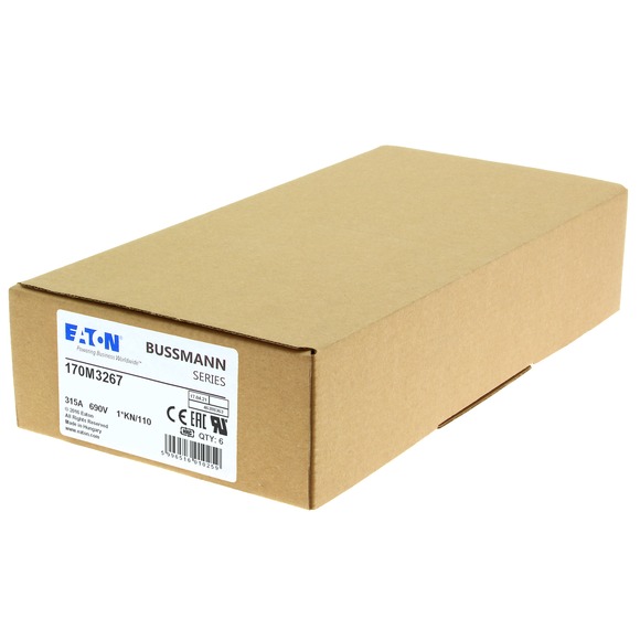 170M3267 Быстрый предохранитель 315A 690V 1*KN/110 AR UC