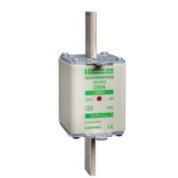Schneider Electric DF2JA1401 ПРЕДОХРАНИТЕЛЬ ТИП АМ,РАЗМЕР 2.400А