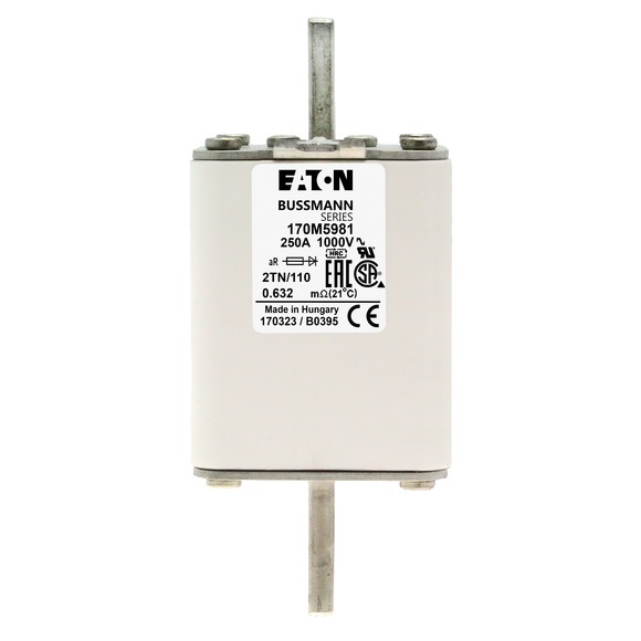 170M5981 Быстрый предохранитель 250A 1000V 2TN/110 AR UR