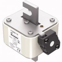 170M6118 Быстрый предохранитель 1500A 690V 3KN/80 AR UC