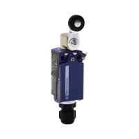 Schneider Electric XCKD3918P16EX КОНЦЕВОЙ ВЫКЛЮЧАТЕЛЬ ATEX XCKD3918P16EX