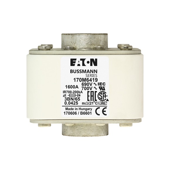170M6419 Быстрый предохранитель 1600A 690V 3BN/65 AR UC