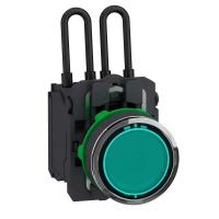 Schneider Electric XB5AW23B5 КН.С ПОДС.,С ЛАМПОЙ ТЕСТ, 24В, ЗЕЛ.,ПЛ