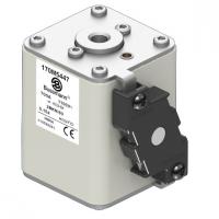 170M5447 Быстрый предохранитель 700A 1100V 2BKN/80 AR