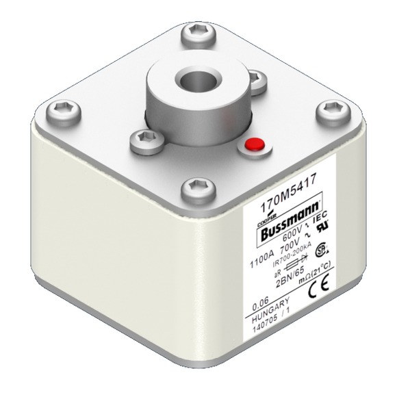 170M5417 Быстрый предохранитель 1100A 600V 2B/65 AR UC