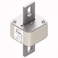 170M6713 Быстрый предохранитель 900A 690V 3FU/115 AR UC