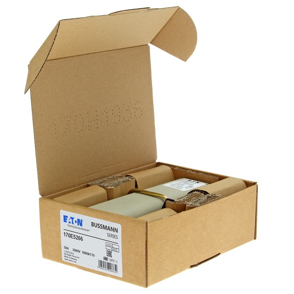 170E5266 Быстрый предохранитель 50A 3000V 1BKN/170 AR