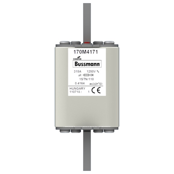 170M4171 Быстрый предохранитель 315A 1250V 1STN/110 AR
