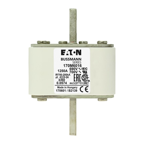 170M6016 Быстрый предохранитель 1250A 690V 3/80 AR UC