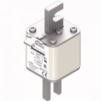 170M3058 Быстрый предохранитель 40A 690V 1*TN/80 AR UC