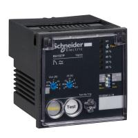 Schneider Electric 56505 RH197P 24 TO 130V DC AND 48V AC