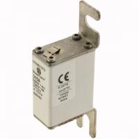 170M1372 Быстрый предохранитель 315A 690V 000/80 AR UC