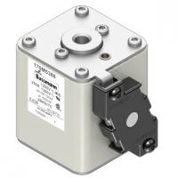 170M5388 Быстрый предохранитель 250A 1250V 2BKN/75 AR CU
