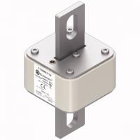 170M6714 Быстрый предохранитель 1000A 690V 3FU/115 AR UC