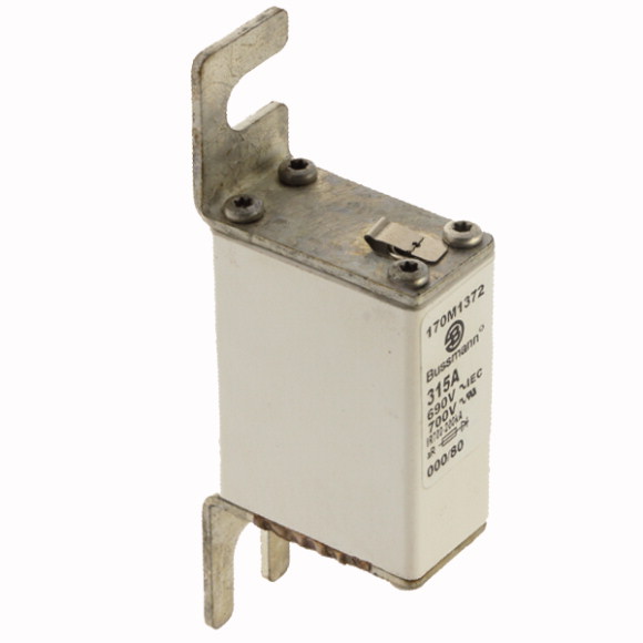 170M1372 Быстрый предохранитель 315A 690V 000/80 AR UC