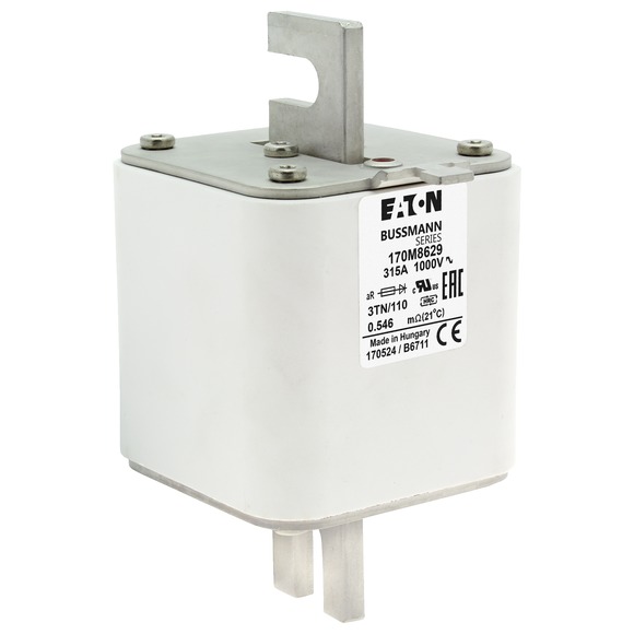 170M8629 Быстрый предохранитель 315A 1000V 3TN/110 AR UR