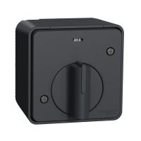 Schneider Electric MUR35067 MUREVA S ВЫКЛЮЧАТЕЛЬ с таймером В СБОРЕ О/У, АНТРАЦИТ, IP55