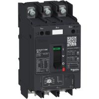 Schneider Electric GV4LE80S6 АВТ.ВЫКЛ GV4LE С МАГНИТНЫМ РАСЦЕПИТЕЛЕМ 80A 100kA ЗАЖИМ ПОД КОЛЬЦ.НАКОНЕЧНИК