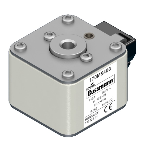 170M5406 Быстрый предохранитель 250A 660V 2BKN/50 AR