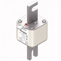 170M4209 Быстрый предохранитель 250A 690V 1TN/110 AR UC