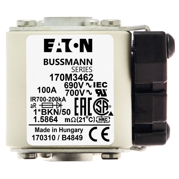 170M3462 Быстрый предохранитель 100A 690V 1*BKN/50 AR UC