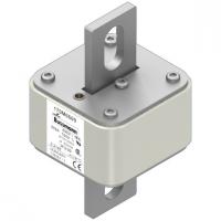 170M6609 Быстрый предохранитель 550A 690V 3FU/90 AR UC