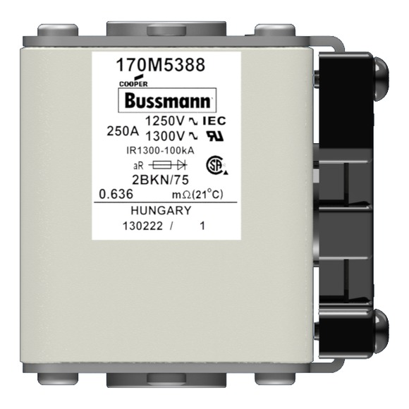 170M5388 Быстрый предохранитель 250A 1250V 2BKN/75 AR CU