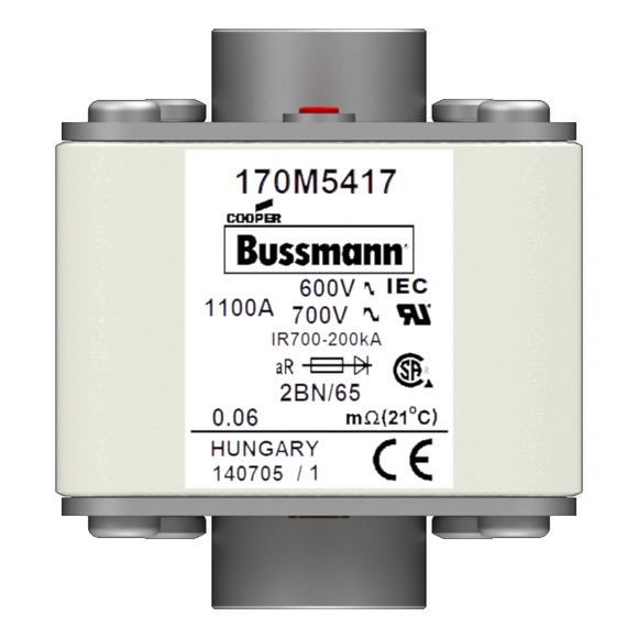 170M5417 Быстрый предохранитель 1100A 600V 2B/65 AR UC