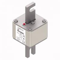 170M5163 Быстрый предохранитель 700A 690V 2/110 AR UC