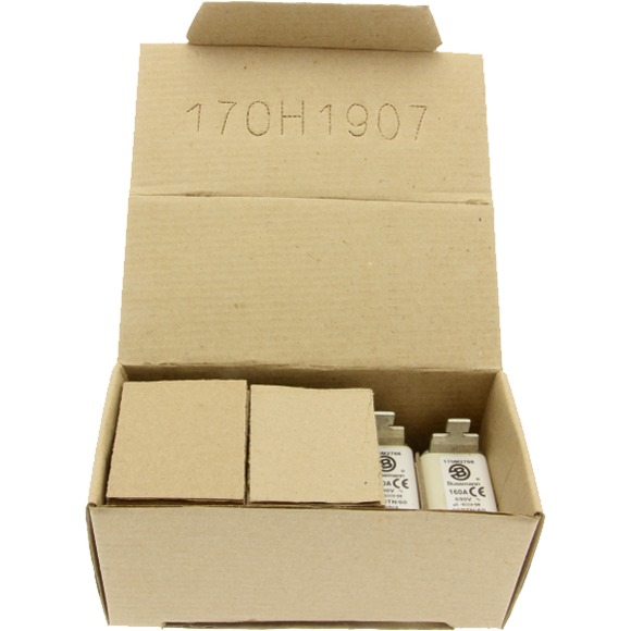 170M2766 Быстрый предохранитель 160A 690V 00BTN/60 AR